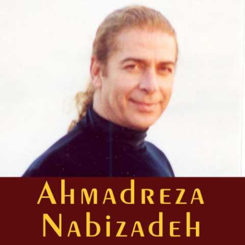 Ahmadreza Nabizadeh Azizam